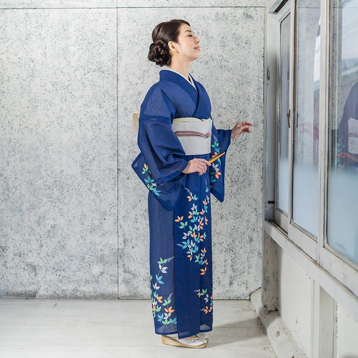 レンタル 夏用 絽 訪問着 フルセット 高級 ROHO-089 秋草 結婚式 列席