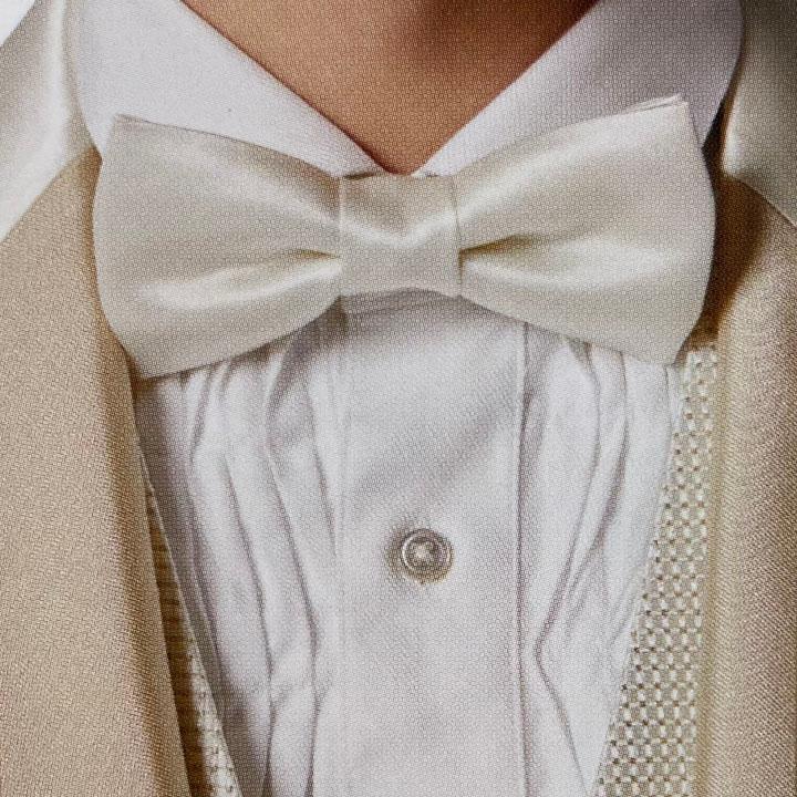 レンタル タキシード TX-M-20339 シャンパン メンズ 結婚式タキシード