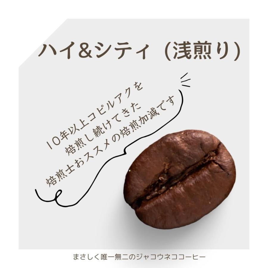 コピルアク 高級コーヒー ジャコウネココーヒー コーヒーギフト