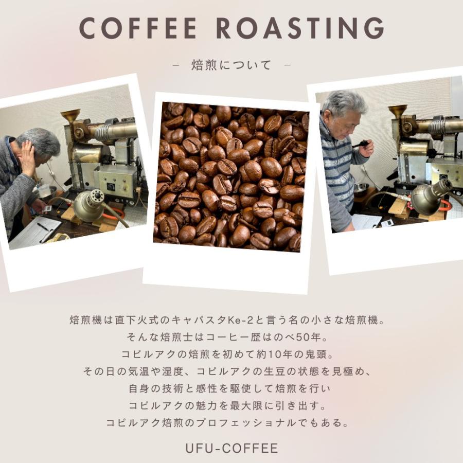 ジャコウネココーヒー コピルアック コピルアク  コーヒー豆 珈琲豆 100g｜ufu-coffee｜09