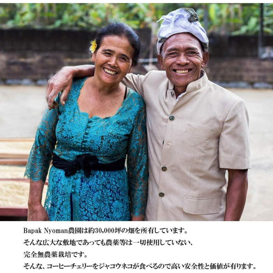 コーヒー ジャコウネココーヒー コピルアクコーヒー コピルアックコーヒー 自家焙煎コーヒー豆 珈琲豆 野生ジャコウネコ インドネシア 50g Kopiluwak Light 50g Ufuーcoffee 通販 Yahoo ショッピング