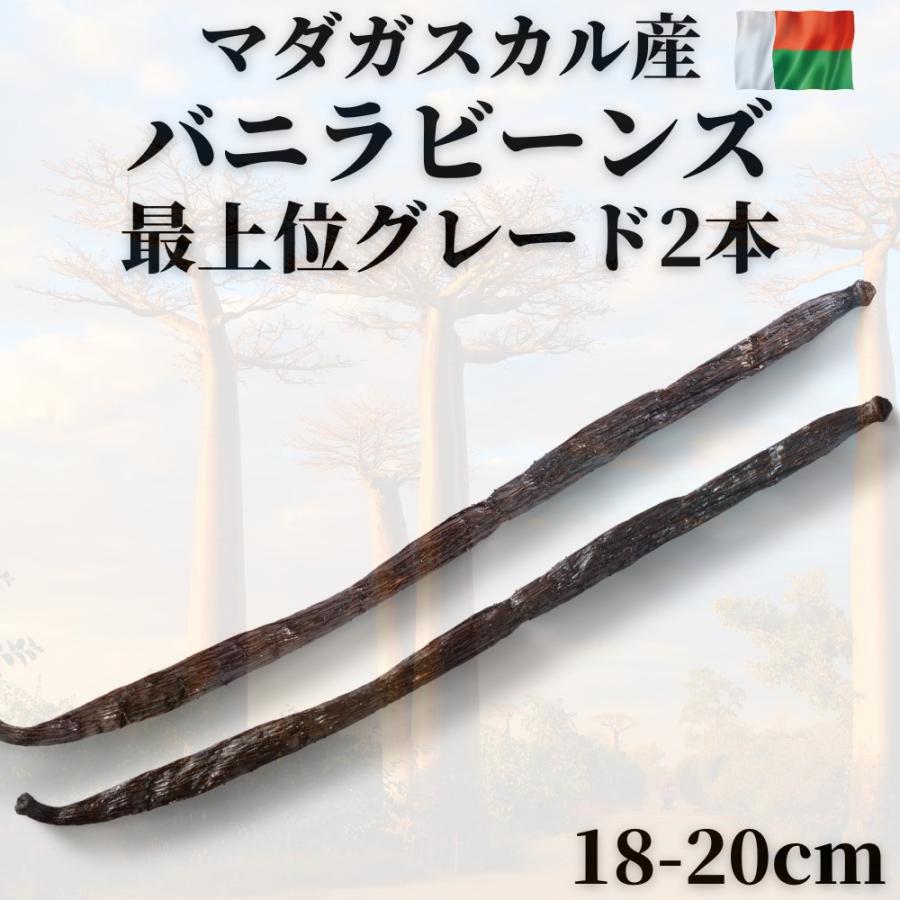 バニラビーンズ マダガスカル産 18-20cm バニラビーンズシード バニラビーンズ マダガスカル産 18-20cm バニラビーンズシード