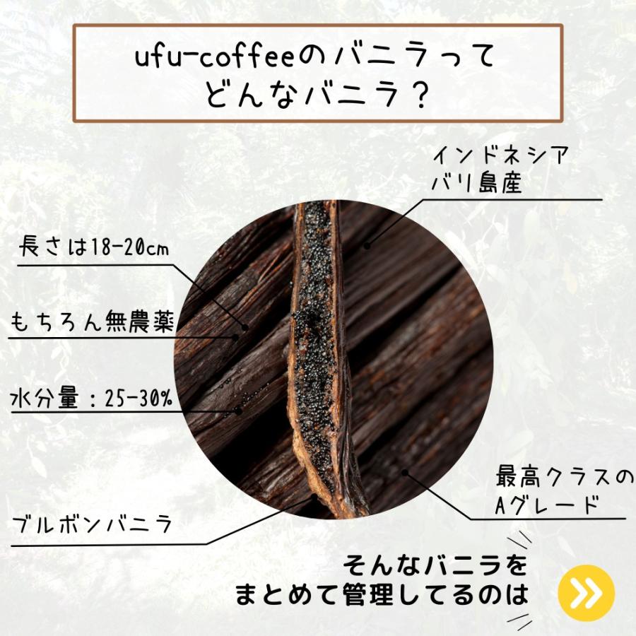 バニラビーンズ Aグレード 12本 vanilla バニラ 香辛料 製菓材料  業務用 最安値｜ufu-coffee｜02