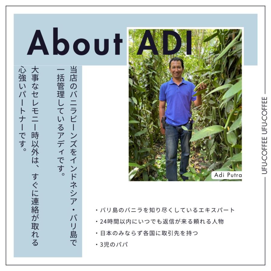 バニラビーンズ 1kg ブルボンバニラ インドネシア産 Aグレード バニラビーンズ 1kg ブルボンバニラ インドネシア産 Aグレード