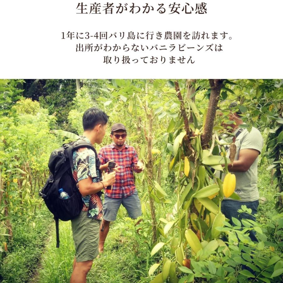 バニラビーンズ 業務用 最安値 ブルボンバニラ Aグレード 200g バニラ