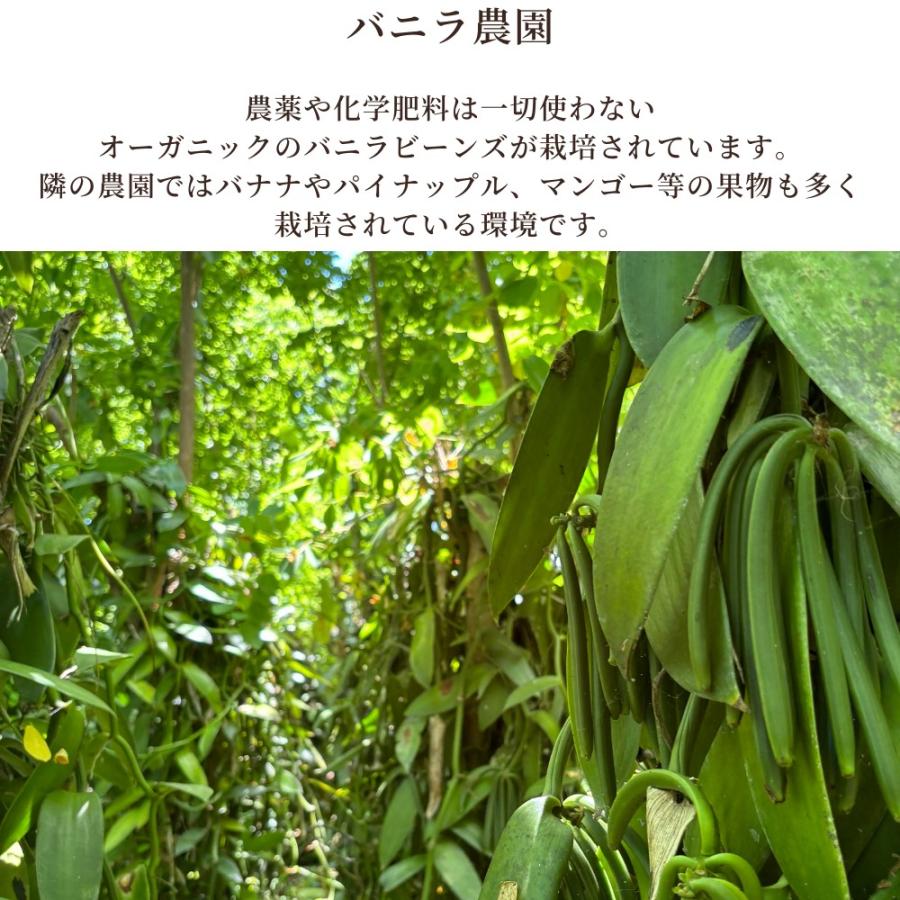 バニラビーンズ 業務用 最安値 ブルボンバニラ Aグレード 200g バニラ