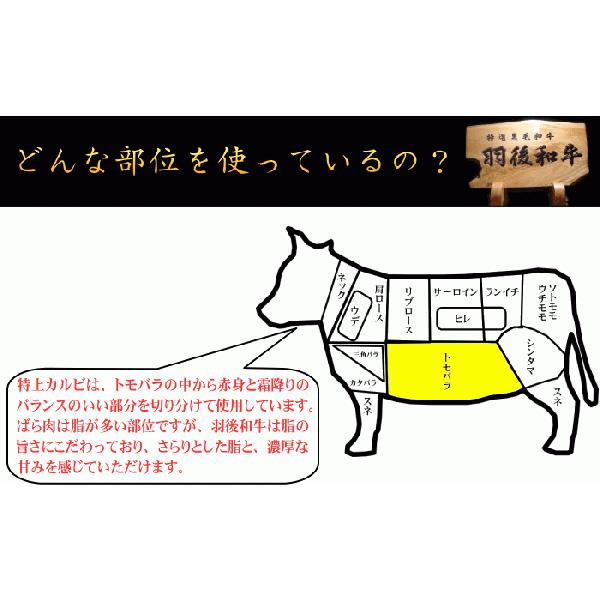 秋田県産羽後和牛　特上カルビ　1ｋｇ｜ugowagyu-sato｜03