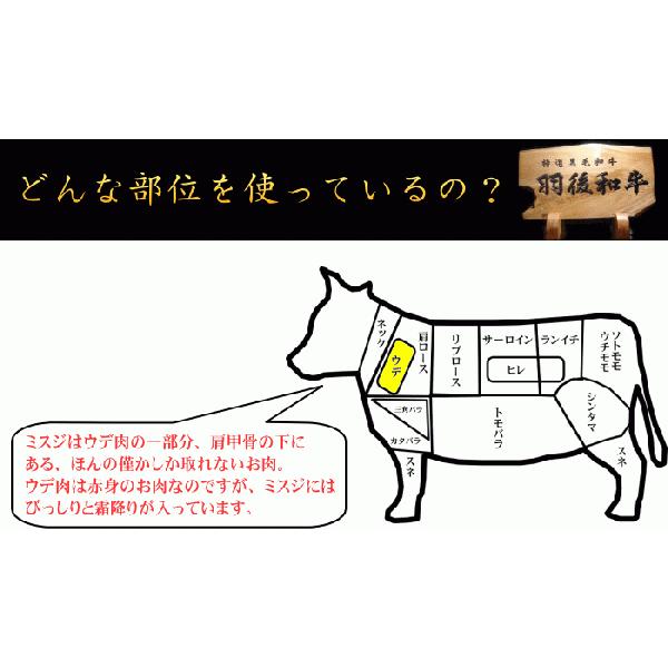 秋田県産羽後和牛　特選ミスジ焼肉用　５００g｜ugowagyu-sato｜03