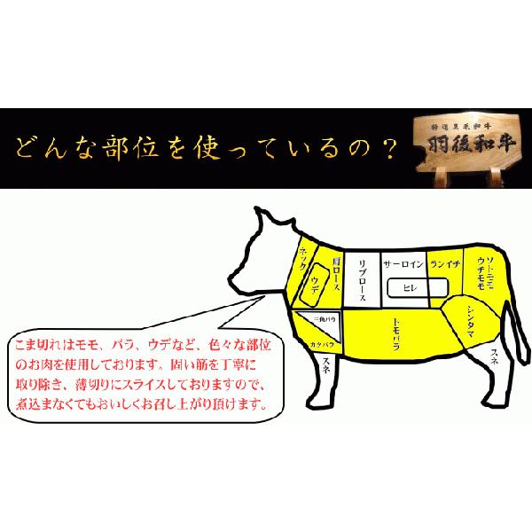 羽後和牛こま切れ　500ｇ　(端っこ はしっこ 端 切り落とし 不ぞろい)｜ugowagyu-sato｜04