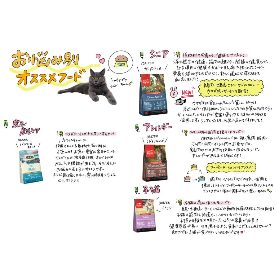 ORIJEN（オリジン） オリジナルキャット 1.8kg 正規品 064992280185