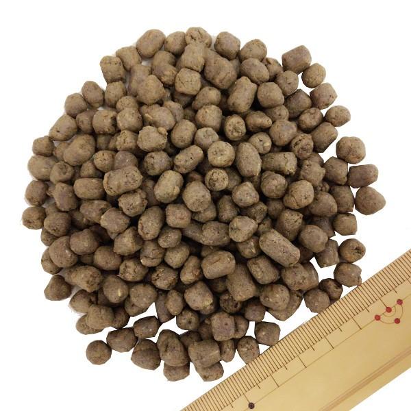 国産 ドッグフード Zen プレミアムドッグ グレインフリー フィッシュ 白身魚 30g 合成酸化防止剤無添加 穀物不使用 食物アレルギー 全年齢対応 Ugペット Com 通販 Yahoo ショッピング