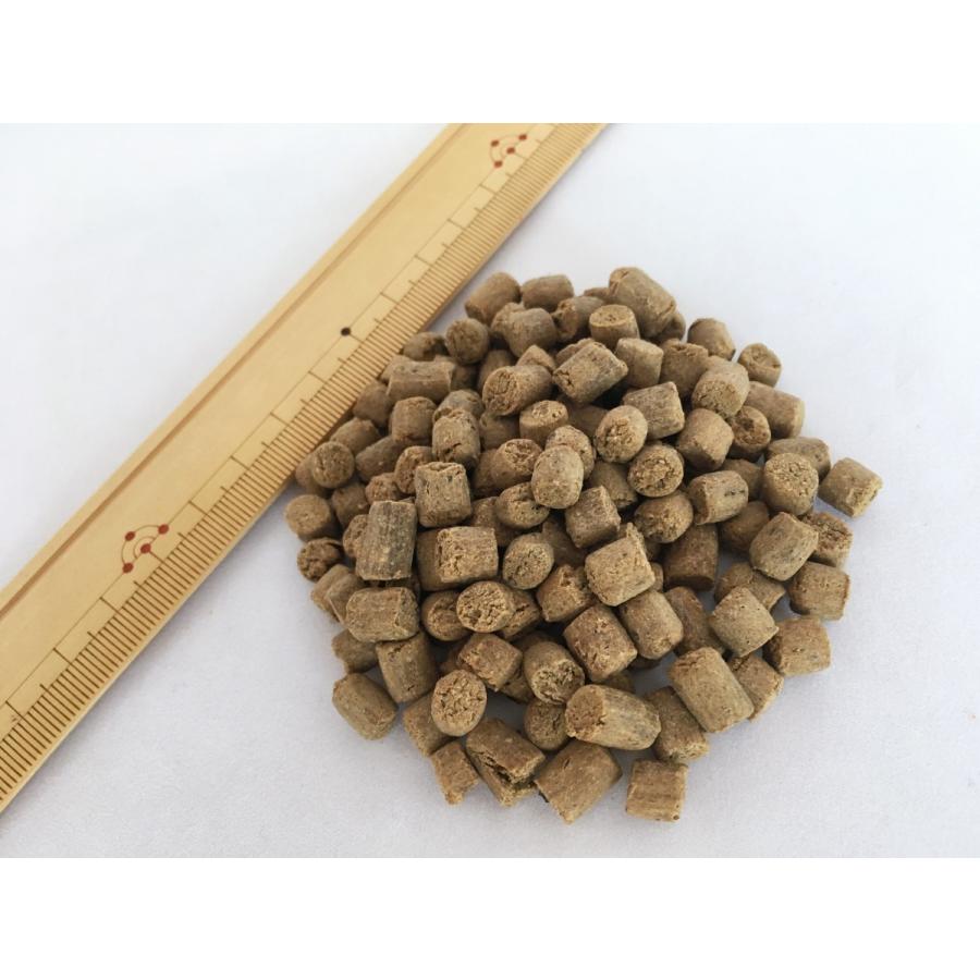 国産 ドッグフード ZEN プレミアムドッグ グレインフリー ベニソン 鹿肉 小粒 700g 合成酸化防止剤無添加 穀物不使用 食物アレルギー 全年齢対応 00022 | ZEN プレミアム ドッグ | 03