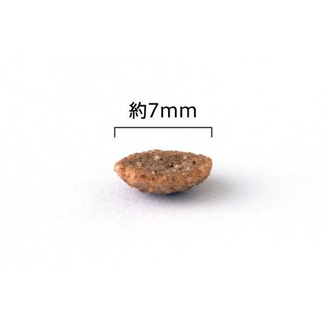 ビィ・ナチュラル ルート・ゴート 小粒 4.4kg |  | 01