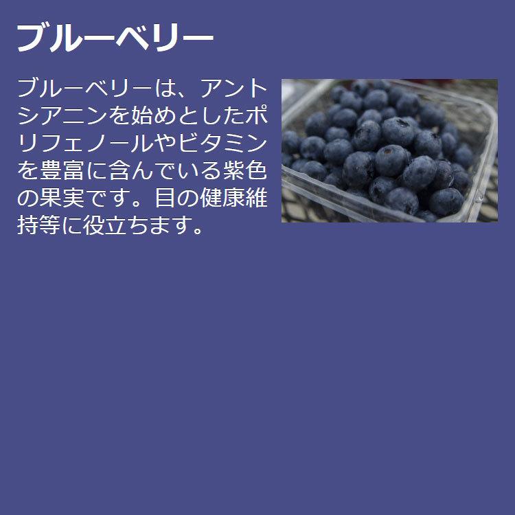 国産 ドッグフード ZEN プレミアムドッグ グレインフリー ワイルドボア(猪肉) 小粒 4kg(1kg×4袋) 合成酸化防止剤無添加 穀物不使用 食物アレルギー 全年齢 0305｜ugpet｜13