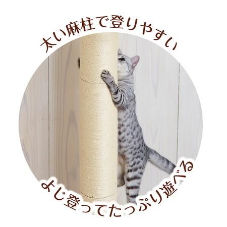 Add.Mate アドメイト 猫のおあそびポール クライミング つっぱり