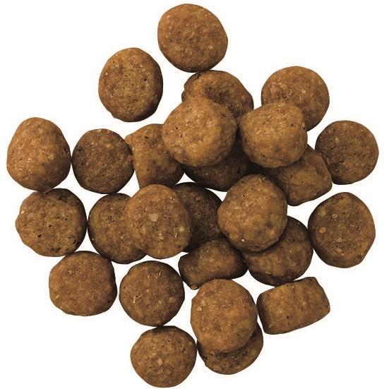 プロフェッショナルバランス1歳6キロと7歳6キロおまとめ 楽天市場】【送料無料】プロフェッショナルバランス 1歳から 成