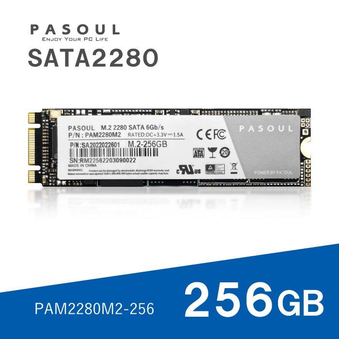 内蔵型SSD PASOUL M.2 2280 SATA 256GB SSD PASOUL 新品 SSD256GB SATA M.2 2280 6GB/sに準拠 3D TLC 最大