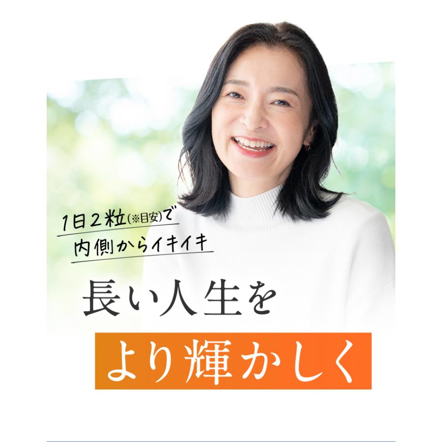【UHA味覚糖 公式】オートファジー習慣 PLATINUM（プラチナム） 30日分 60粒×2個 1日2粒 ウロリチンA トランスレスベラトロール コエンザイムQ10配合の画像