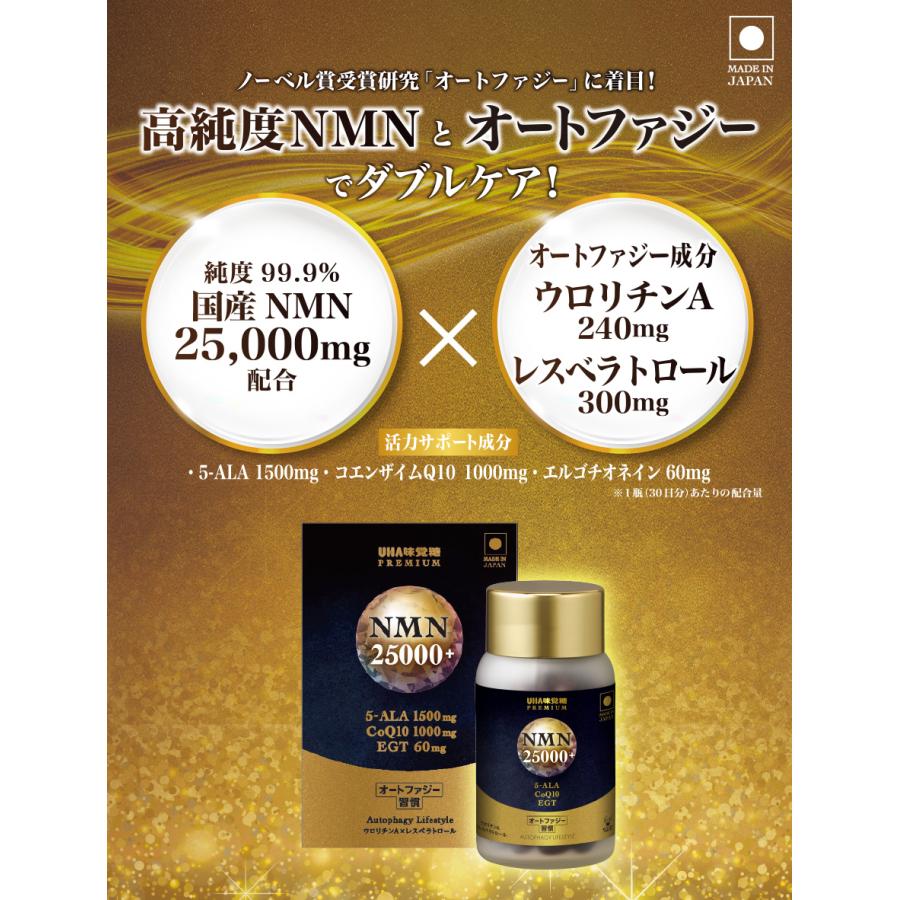 UHA味覚糖 【賞味期限2026年7月末まで】【公式】UHA味覚糖 オート 