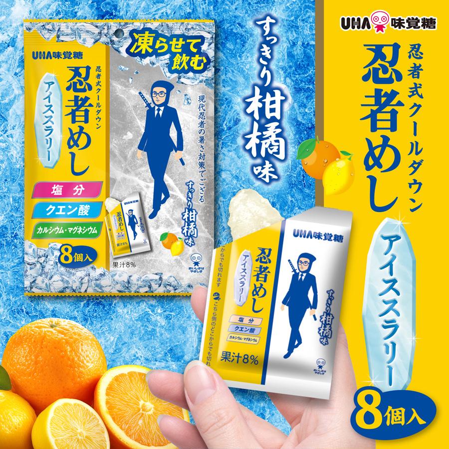 UHA味覚糖 【公式】忍者めしアイススラリー すっきり柑橘味 6袋セット