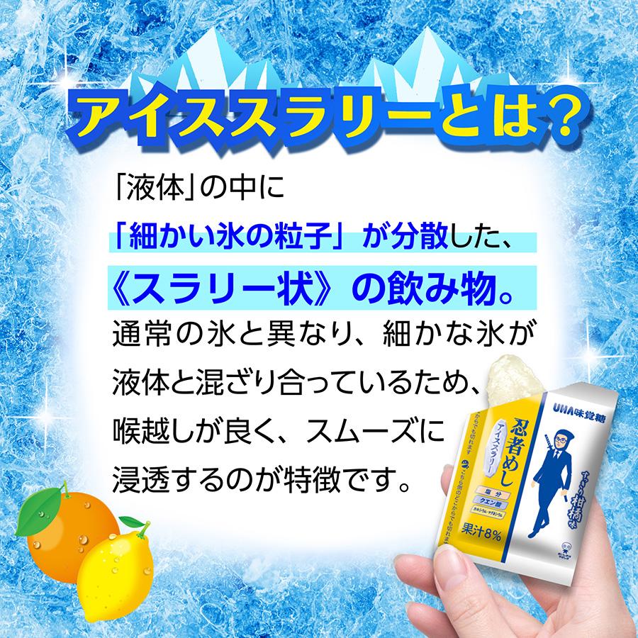 UHA味覚糖 【公式】忍者めしアイススラリー すっきり柑橘味 18袋セット