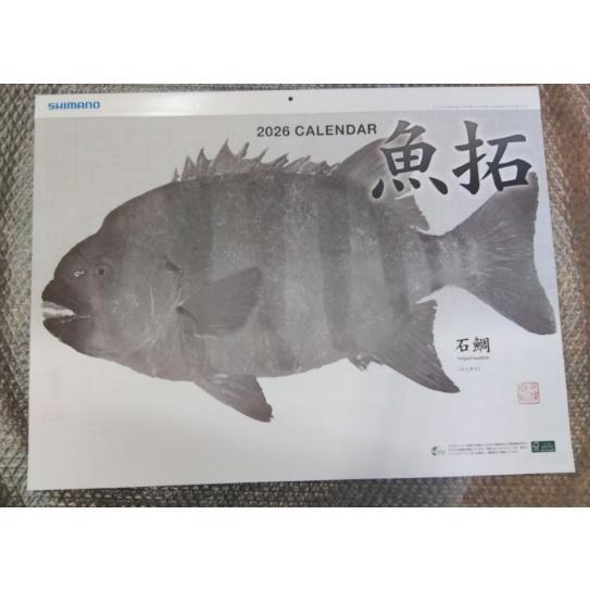 シマノ2026年度魚拓カレンダー(店舗印なし) : マキオズ Yahoo!店