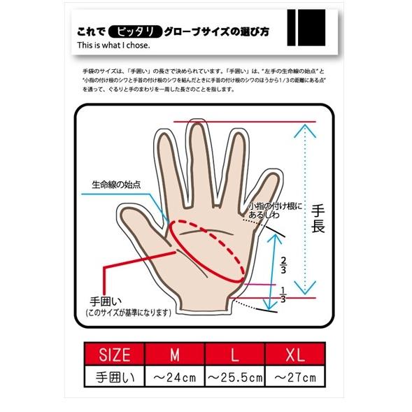 2024NEW)ゴールデンミーン GMグローブ フレイム サイズ：M : マキオズ