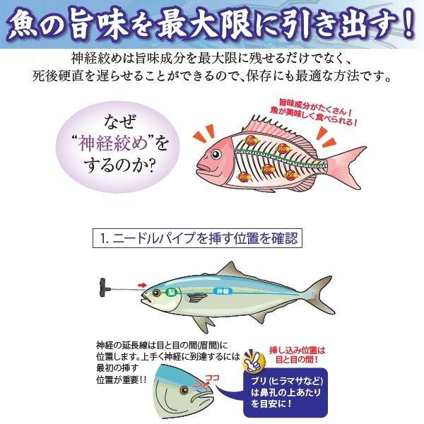 送料無料 ルミカ Lumica エア抜き ワイヤー 神経絞めセット ミディアム 60cm マキオズ Yahoo 店 通販 Yahoo ショッピング