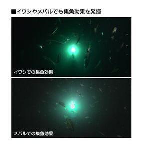 ハピソン ＬＥＤ 水中集魚灯 防水 30m YF-500 乾電池式　札幌　西岡店 Hapyson 乾電池式LED 水中集魚灯 YF-500 - 玉屋釣具店 通販ショップ