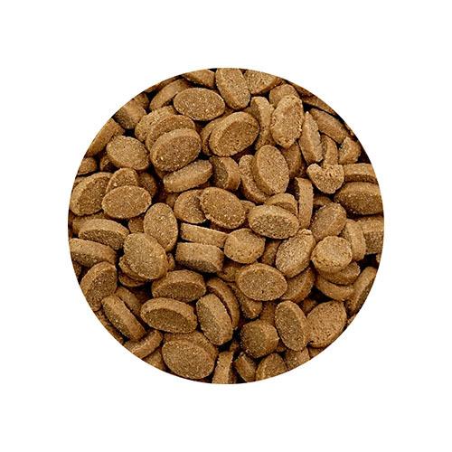 アニマル・ワン 犬の雑穀ごはん 機能性フィッシュ 800g 1歳以上の成犬