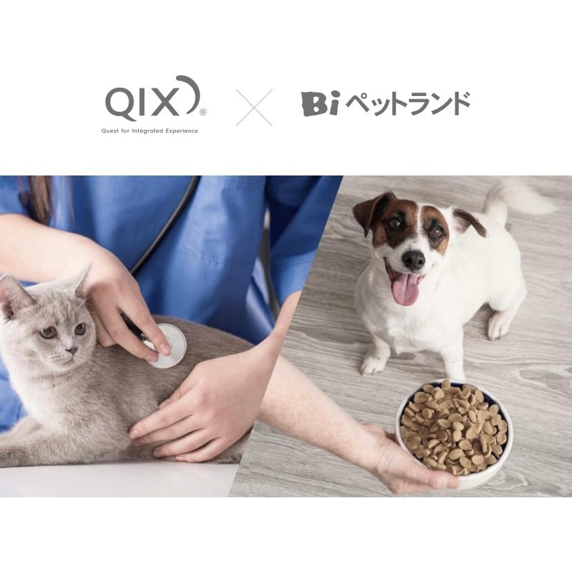 QIX Smiley さくらdeli 5kg 国産 馬肉 全年齢・全犬種対応 獣医学に