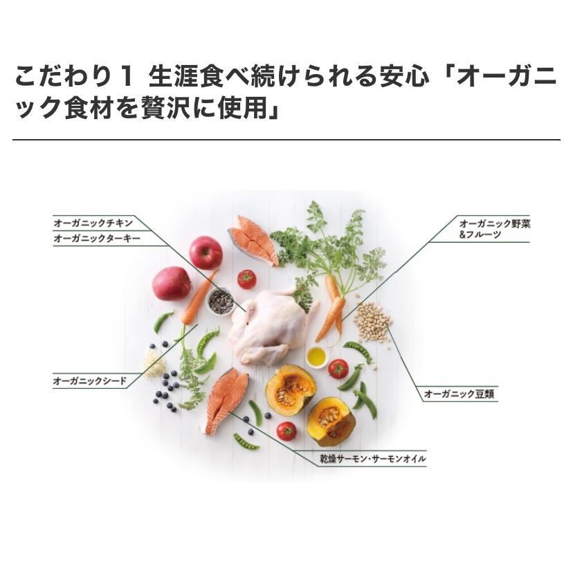 ソルビダ　グレインフリー　チキン　室内飼育成犬用　5.8kg　ドライドッグフード　総合栄養食_3
