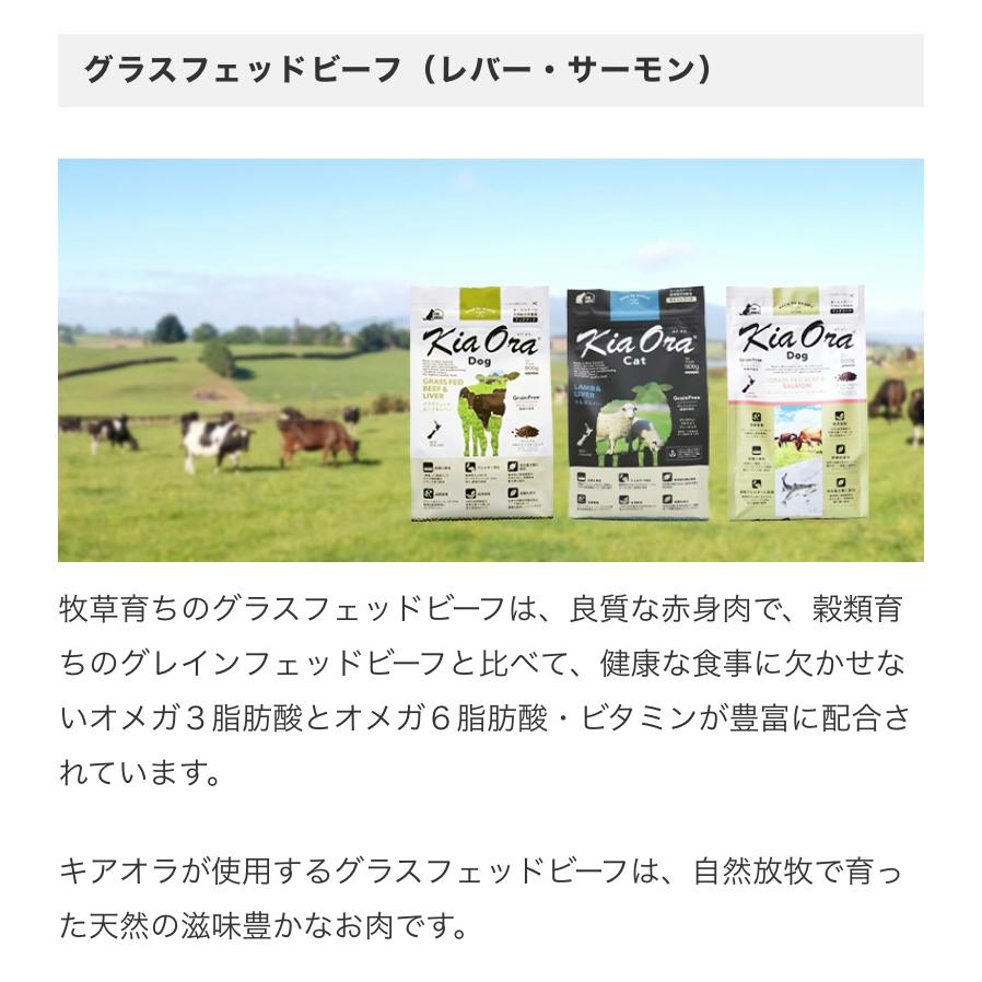Kia Ora（キア オラ） ドッグフード ビーフ＆レバー 4.5kg 全年齢向け愛犬用ドライフード 定期購入お得商品の画像