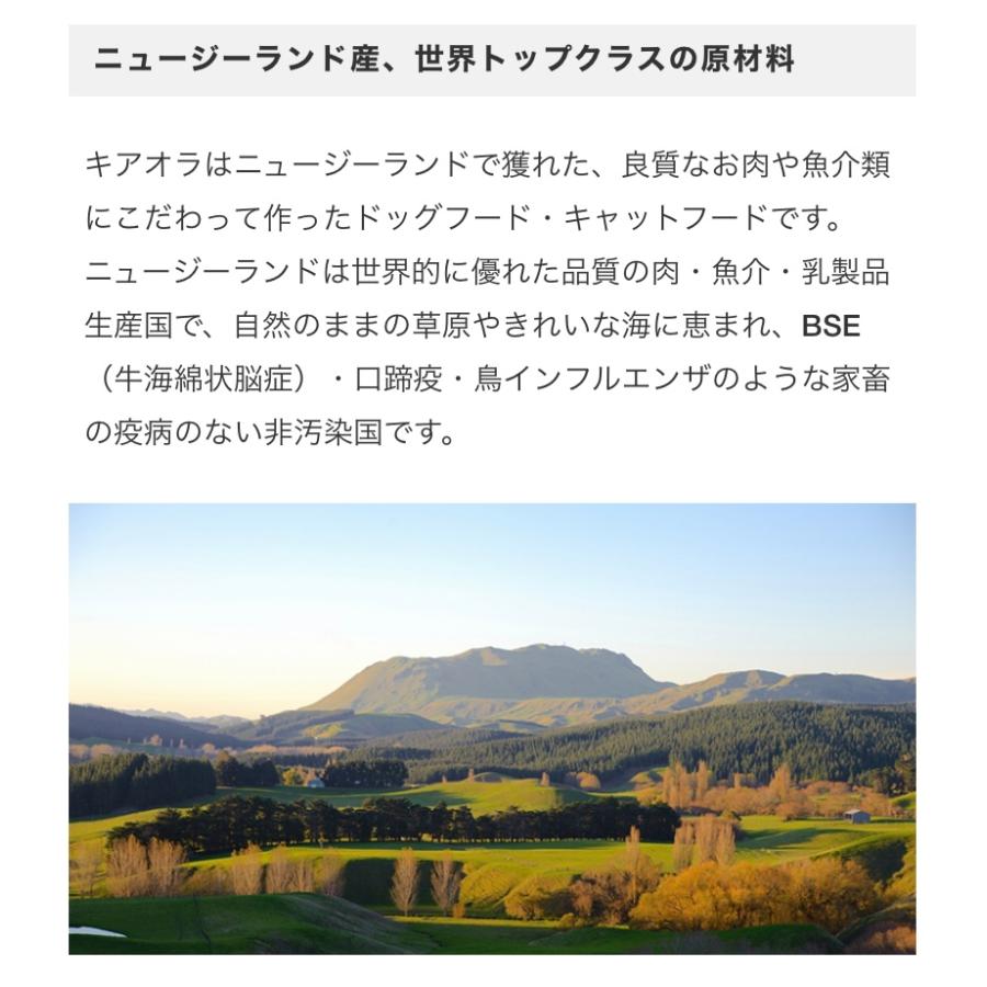 Kia Ora（キア オラ） ドッグフード ビーフ＆レバー 4.5kg 全年齢向け愛犬用ドライフード 定期購入お得商品の画像