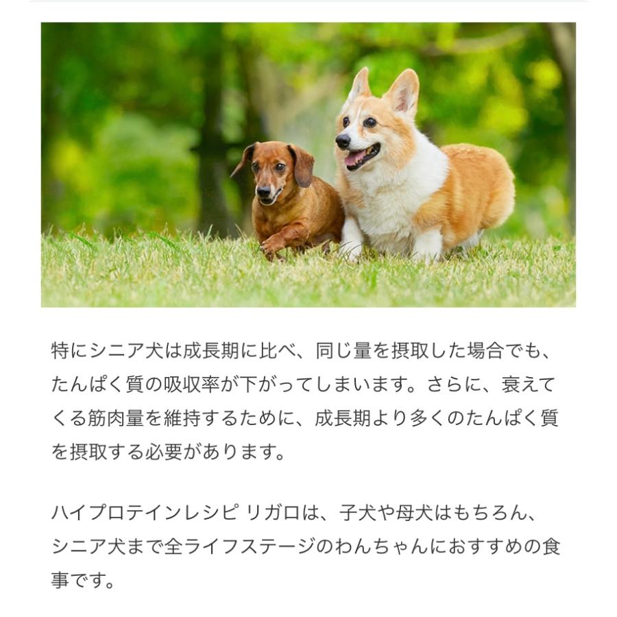 リガロ　ハイプロテインレシピ　７歳以上用　シニア　ラム　5.8kg　愛犬用ドライフード_8