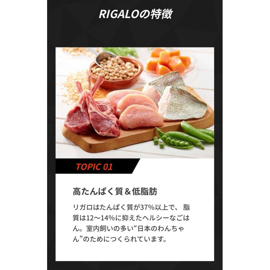 リガロ　ハイプロテインレシピ　７歳以上用　シニア　ラム　12kg リガロ ハイプロテインレシピ シニア(7歳以上用) ラム RIGLRRHA