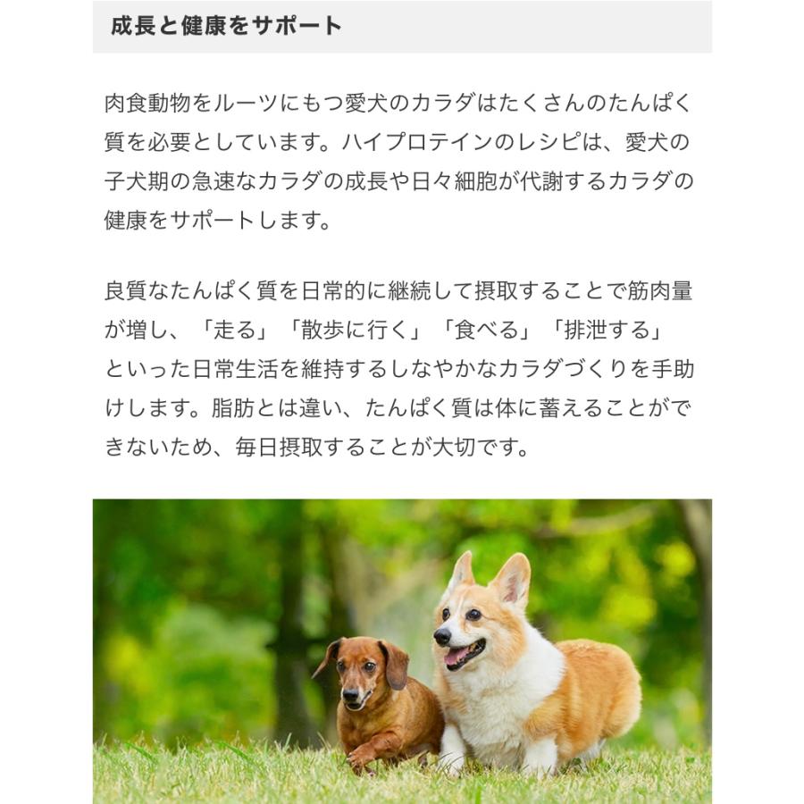 リガロ　ハイプロテインレシピ　７歳以上用　シニア　ターキー　3.6kg　愛犬用ドライフード　定期購入お得商品｜uiitshop｜07