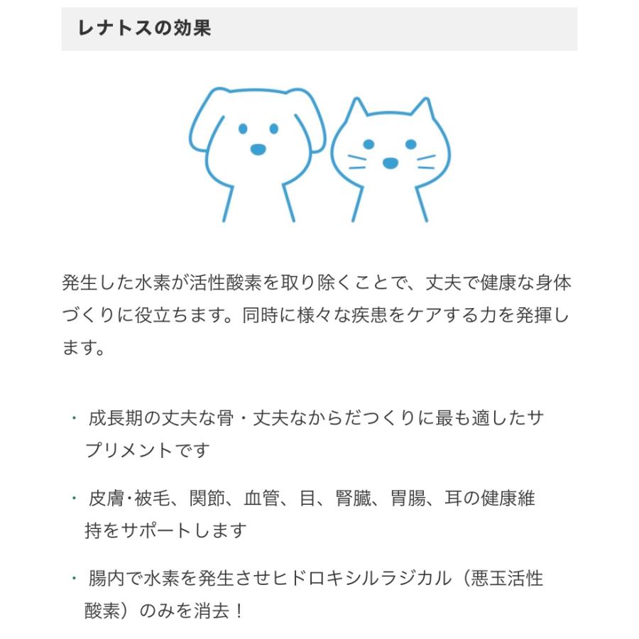 レナトス　犬用 レナトスST 水素サプリメント 30粒 愛犬用 レナトスジャパン