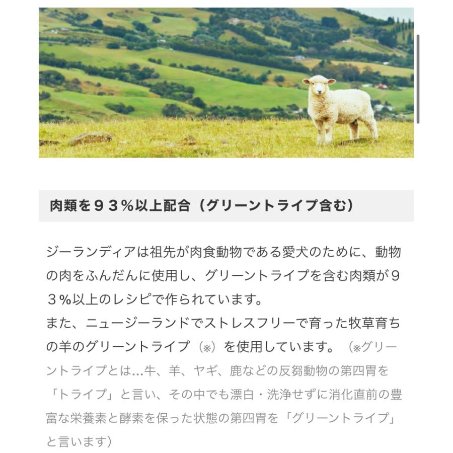 Zealandia ジーランディア チキン缶 185g 犬用缶詰 最高品質なプレミアムドッグフード :UTPTPW693501-02:UIIT ...