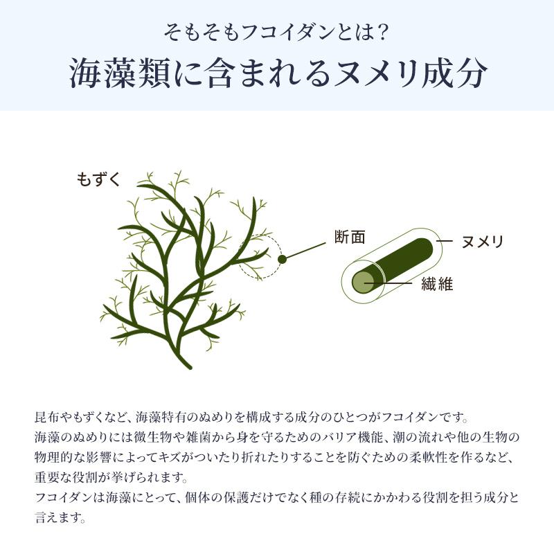 パワーフコイダン 1800m 無糖タイプ 2本セット ハチミツ無添加 液体