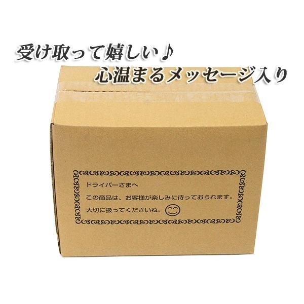 即納 ダンボール箱 / 60サイズ 10枚セット 一般強度材質使用 245×150
