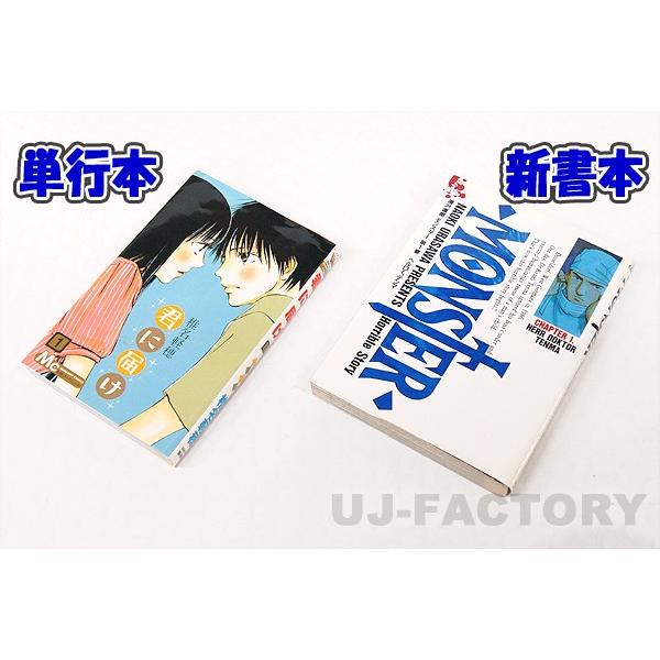 即納 ダンボール箱 / 60サイズ 10枚セット 一般強度材質使用 255×195