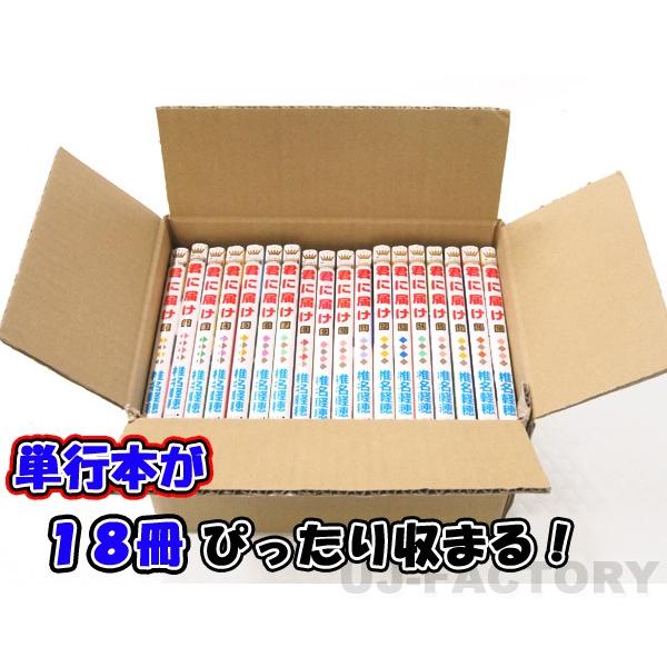即納 ダンボール箱 / 60サイズ 20枚セット 一般強度材質使用 255×195