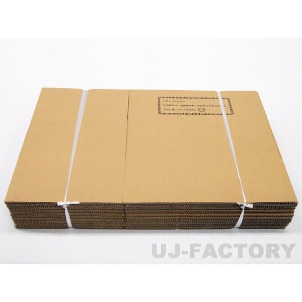 専用＊グニユーカリ.フレッシュ　箱いっぱい　 80サイズ 専用＊グニユーカリ.フレッシュ 箱いっぱい 80サイズ 専用