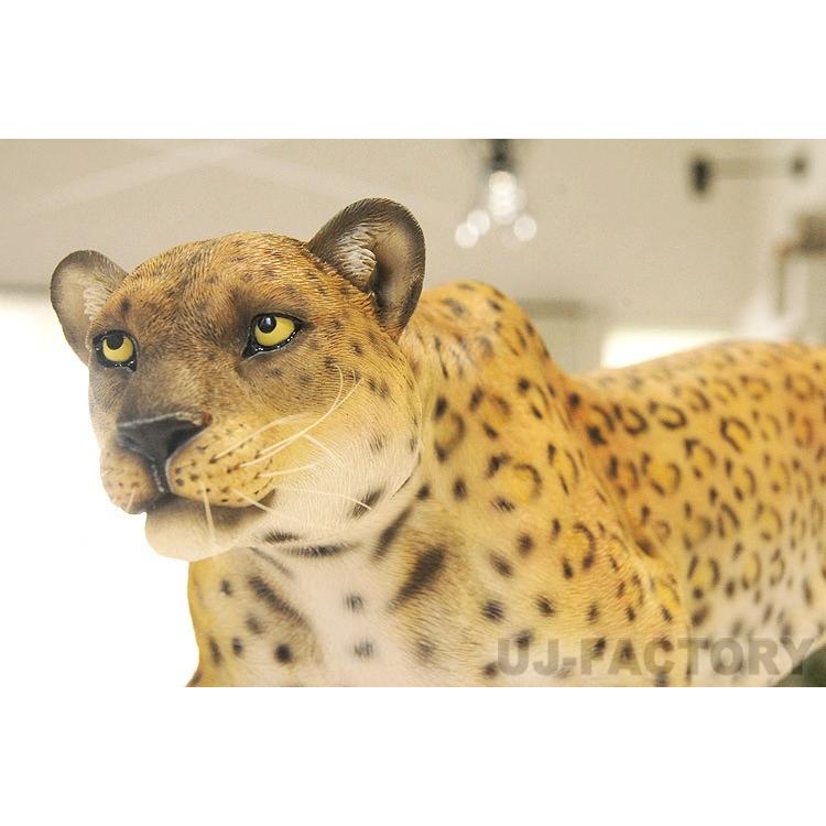 即納!】精悍な豹(ヒョウ)フィギュア(オブジェ)1/6スケール 即納!】精悍な豹(ヒョウ)フィギュア(オブジェ)1/6スケール