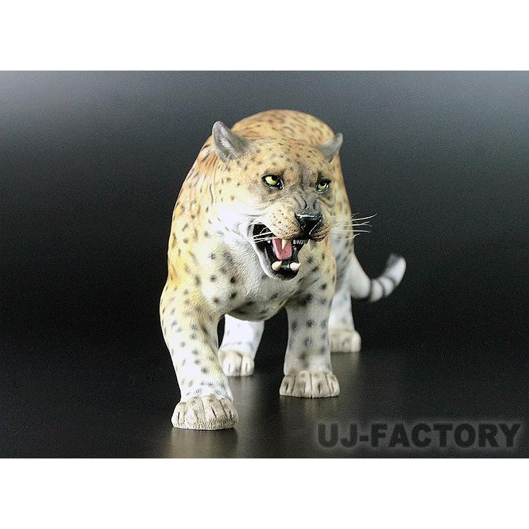 【即納！】精悍な豹（ヒョウ）フィギュア（オブジェ）1/6スケール 獲物狙う迫力のあるリアルなディティール！ 全長：約350mm LEOPARD レパード 肉食｜uj-factory｜06