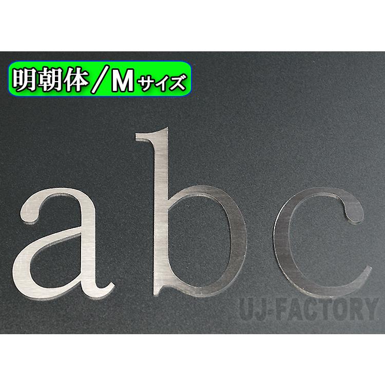 ステンレス製 磨き仕上！】切文字パネル / 切り抜き文字 《 M