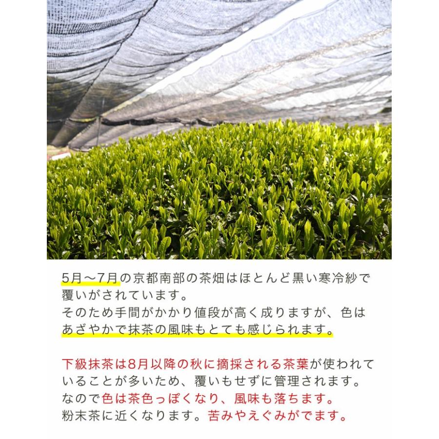 京都宇治 石臼挽き 抹茶 粉末 100g お稽古用 料理用 製菓用 食品加工用