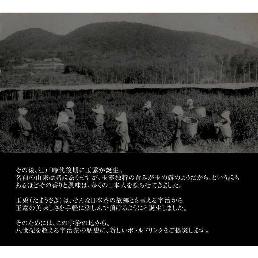 お茶 高級 ボトル 【24本 ばら売りのため化粧箱無し】京都宇治玉露ドリンク [ 玉兎 ] 1本あたり220ml 食事に お茶 ボトル 高級宇治茶 テアニン お祝い_4