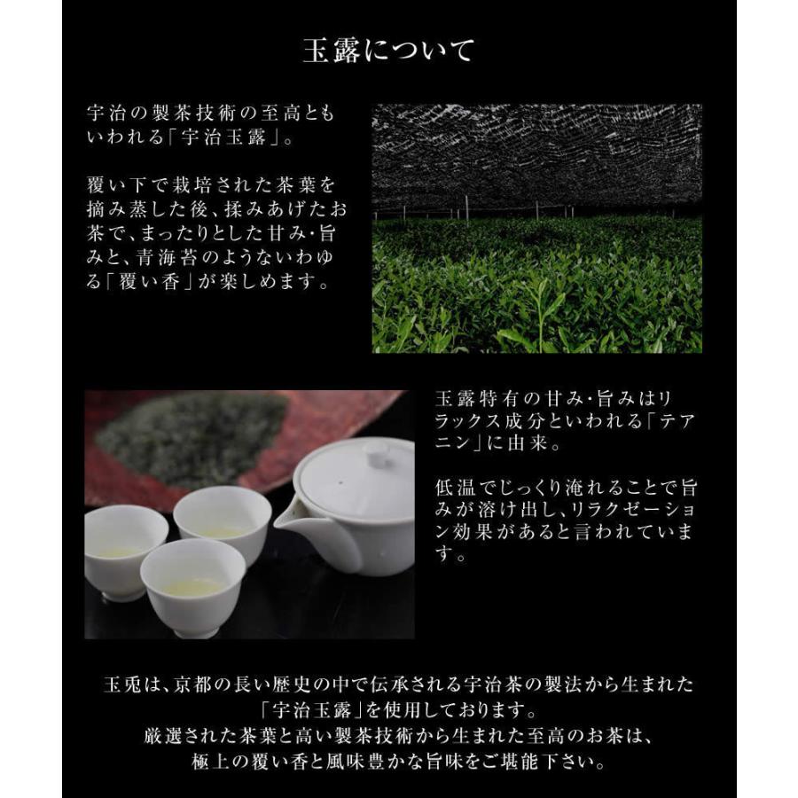 2本 専用ケース入 京都宇治玉露ドリンク 玉兎 1本あたり220ml ギフト